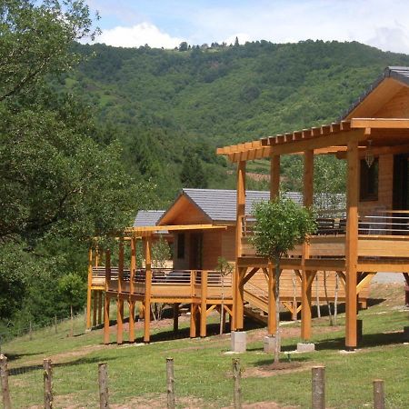 La Ferme Du Duzou Vila Saint-Cyprien-sur-Dourdou Exterior foto