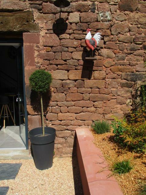 La Ferme Du Duzou Vila Saint-Cyprien-sur-Dourdou Exterior foto